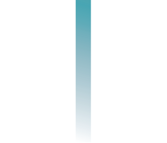 Évolution du nombre de salariés